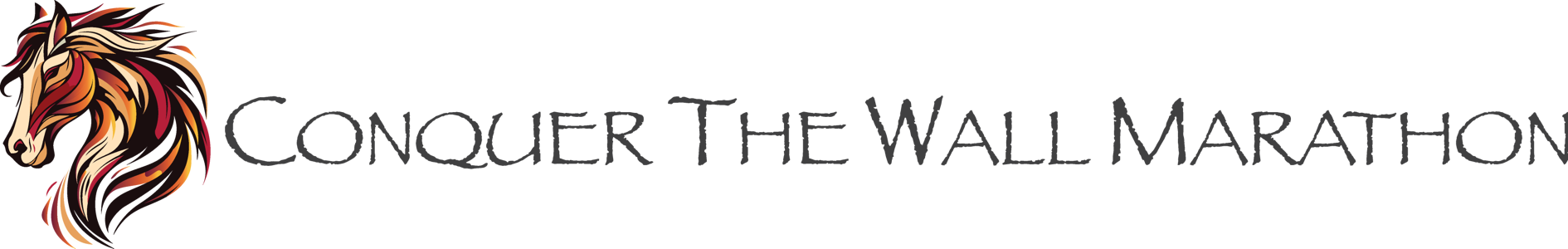 Conquer the Wall Marathon
